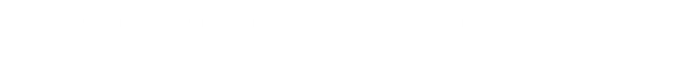 Commissioner of Youth Services and Cultural Activities (CYSCA)